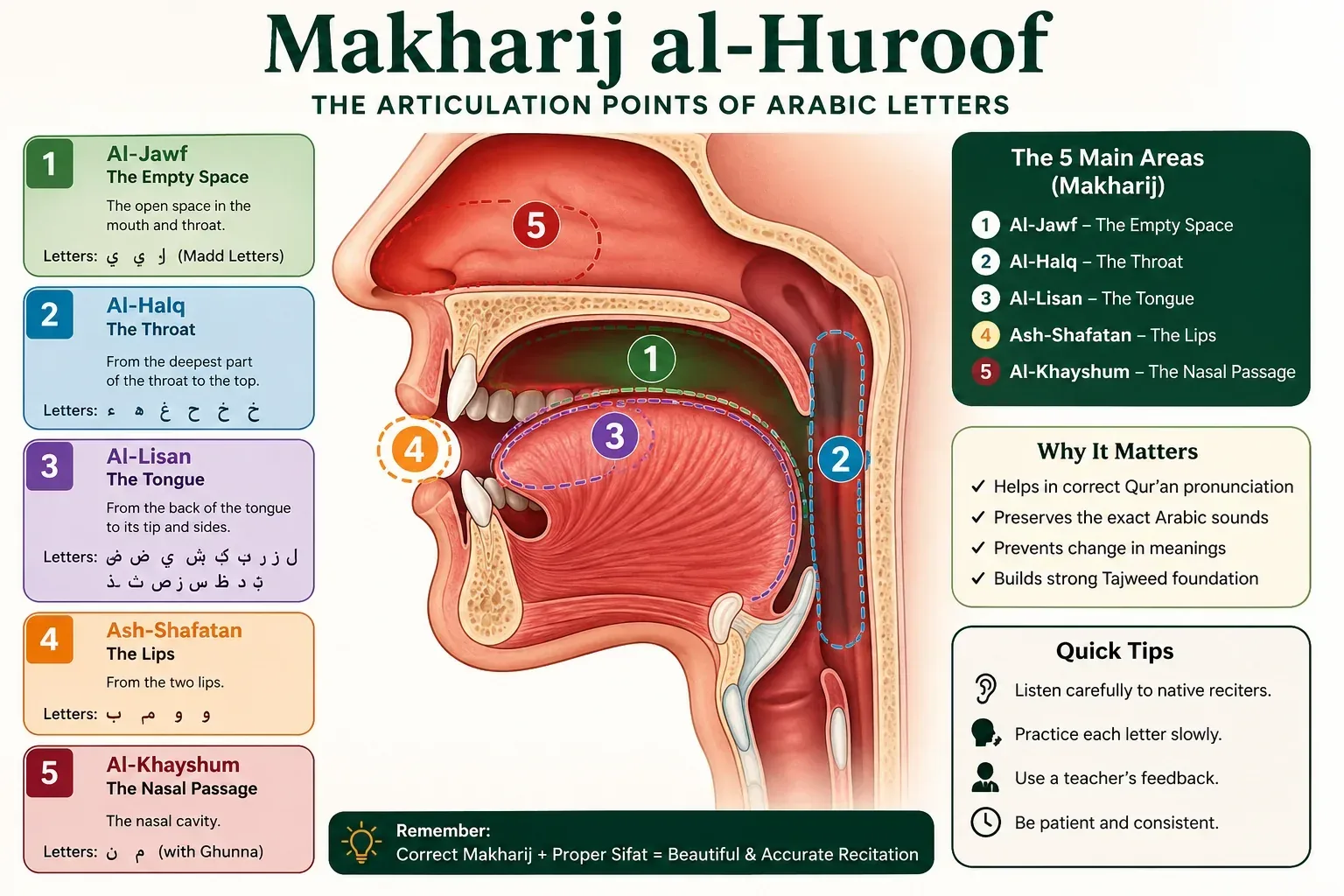 Makharij al-Huroof Explained for Non-Arabic Speakers